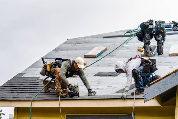 Professional Gutter Installation technician working in Sargent, GA